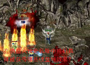 在仿盛大传奇私服中挂机具体能获得哪些收益与效果? 在仿盛大传奇私服中挂机具体能获得哪些收益与效果?