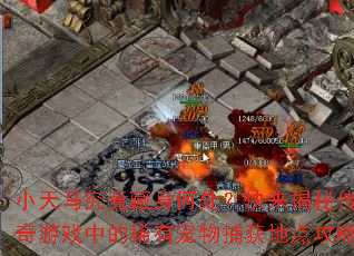 С�������������δ����������ش�����Ϸ�е�ϡ�г��ﲶ��ص㹥��