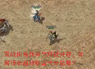 双战组合优势与短板并存,如何扬长避短制霸传奇私服? 双战组合优势与短板并存,如何扬长避短制霸传奇私服?