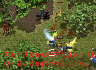 逐鹿中原传奇如今还有玩家在坚持吗?新手该如何快速上手攻略? 逐鹿中原传奇如今还有玩家在坚持吗?新手该如何快速上手攻略?