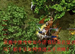 逐鹿中原传奇如今还有玩家在坚持吗?新手该如何快速上手攻略? 逐鹿中原传奇如今还有玩家在坚持吗?新手该如何快速上手攻略?