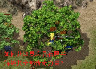 如何获取灵魂晶石匣并解锁其全部传奇力量? 如何获取灵魂晶石匣并解锁其全部传奇力量?