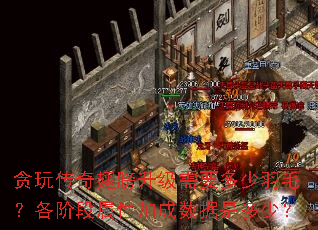 ̰�洫����������Ҫ������ë�����׶����Լӳ������Ƕ��٣�