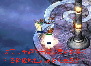 ̰�洫����������Ҫ������ë�����׶����Լӳ������Ƕ��٣�