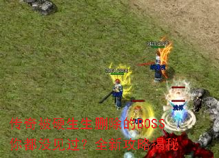 传奇被硬生生删除的BOSS你都没见过?全新攻略揭秘 传奇被硬生生删除的BOSS你都没见过?全新攻略揭秘