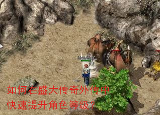如何在盛大传奇外传中快速提升角色等级? 如何在盛大传奇外传中快速提升角色等级?