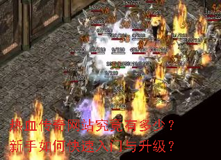 热血传奇网站究竟有多少?新手如何快速入门与升级? 热血传奇网站究竟有多少?新手如何快速入门与升级?