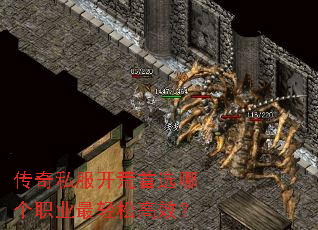 传奇私服开荒首选哪个职业最轻松高效? 传奇私服开荒首选哪个职业最轻松高效?