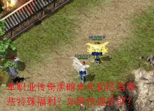 单职业传奇黑暗光年新区有哪些特殊福利?如何快速获取? 单职业传奇黑暗光年新区有哪些特殊福利?如何快速获取?