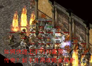 ��ο�������1516�������棿���ֿ��ֹ���ȫ����