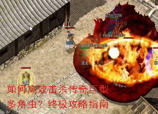 ��θ�Ч��ɱ������Ͷ�ǳ棿�ռ�����ָ��