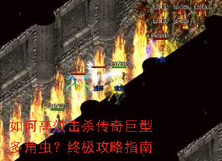 ��θ�Ч��ɱ������Ͷ�ǳ棿�ռ�����ָ��