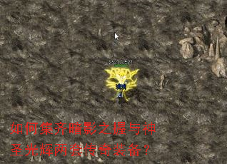 ��μ��밵Ӱ֮������ʥ������״���װ����