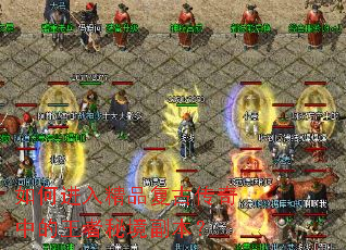 ��ν��뾫Ʒ���Ŵ����е������ؾ�������