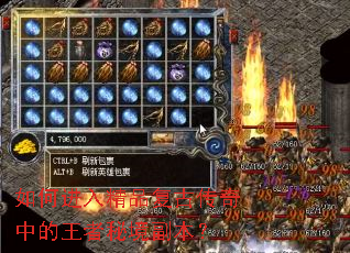 ��ν��뾫Ʒ���Ŵ����е������ؾ�������