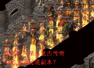��ν��뾫Ʒ���Ŵ����е������ؾ�������