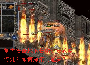 ���Ŵ�����³��Ⱦ��������δ������̽����ͨ�أ�