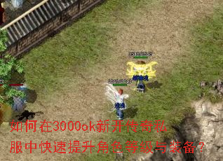 �����3000ok�¿�����˽���п���������ɫ�ȼ���װ����