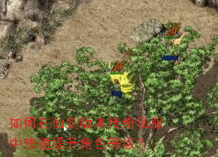 如何在仙剑版本传奇私服中快速提升角色等级? 如何在仙剑版本传奇私服中快速提升角色等级?