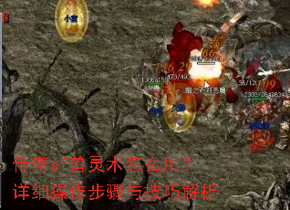 ����sf��������ô�ã���ϸ���������뼼�ɽ���