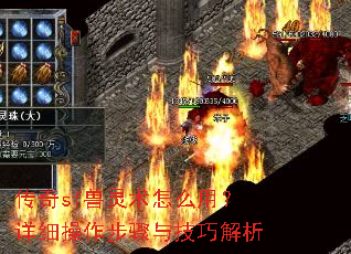 ����sf��������ô�ã���ϸ���������뼼�ɽ���