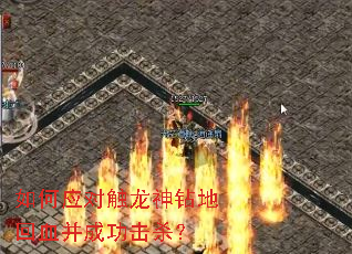 ���Ӧ�Դ�������ػ�Ѫ���ɹ���ɱ��